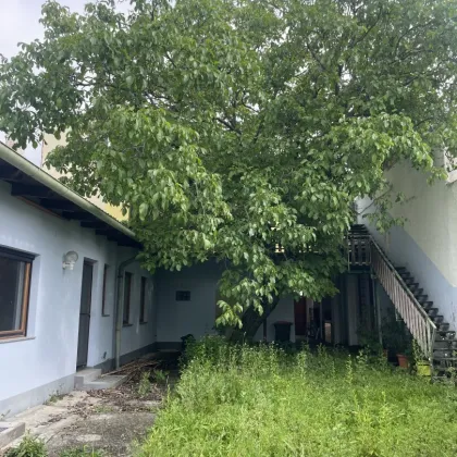 Traumhaftes Baugrundstück in Sooß – 2059m² für Ihr Eigenheim um nur 1.150.000 €! - Bild 2