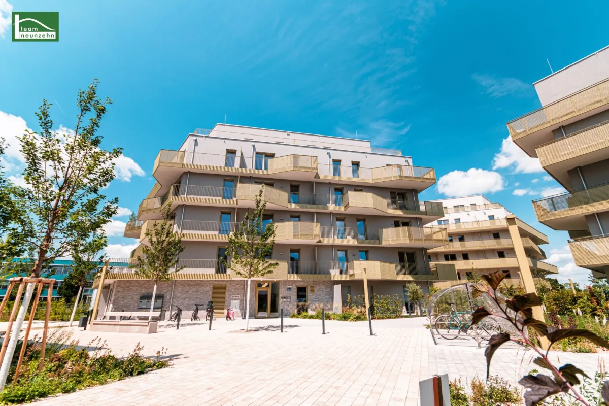 Sie werden es lieben – durchdachte Grundrisse mit Freiflächen im Grünen – Niedrig-Energie-Standard - Bild 1