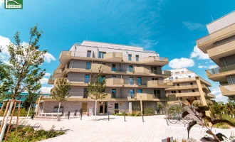 Sie werden es lieben – durchdachte Grundrisse mit Freiflächen im Grünen – Niedrig-Energie-Standard