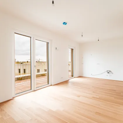 Neubauprojekt im Niedrig-Energie-Standard im grünen Hirschfeld – Naturnah wohnen - Provisionsfrei! - Bild 2