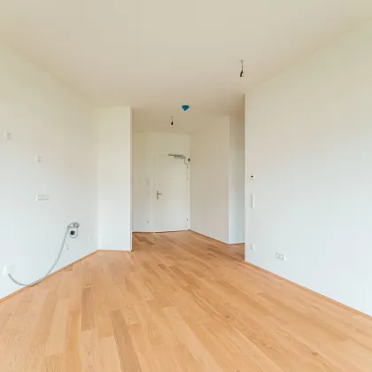 Alles was man sich wünscht – kostengünstige Heizung/“Kühlung“ über Erdwärme, PV-Anlage, weitläufige Grünflächen - Bild 3