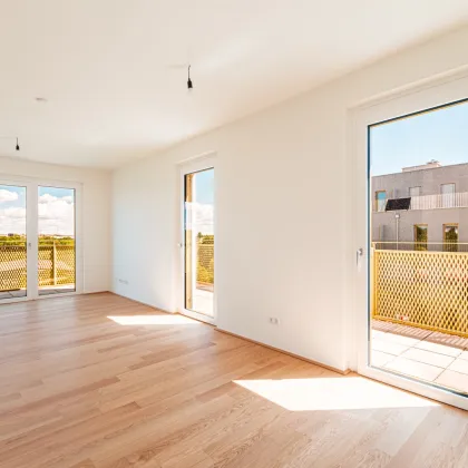 Neubauprojekt im Niedrig-Energie-Standard im grünen Hirschfeld – Naturnah wohnen - Provisionsfrei! - Bild 3