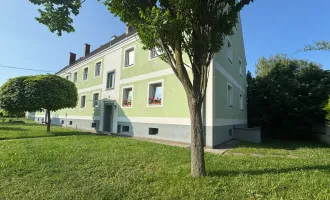 helle 3 Zimmerwohnung mit Eigengarten