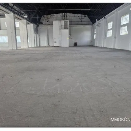 350 m² - 1.500 m² Hallen, Lagerflächen, Gewerbehalle, 4.000 m² Freifläche asphaltiert wahlweise mit Personal & Stapler zu vermieten - Bild 2
