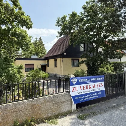 Theresienfeld Grenze Wr Neustadt sehr liebes großes EFH mit wunderschönen großem Grundstück-1253 - Bild 2