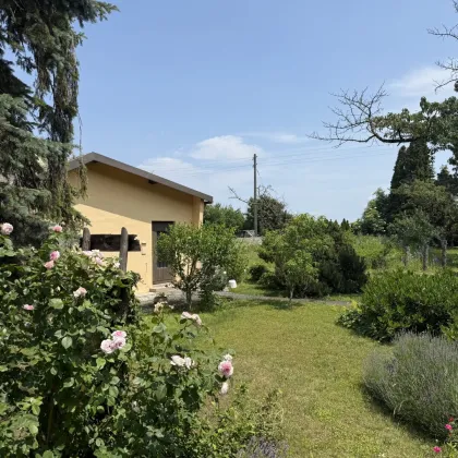 Theresienfeld Grenze Wr Neustadt sehr liebes großes EFH mit wunderschönen großem Grundstück-1253 - Bild 3