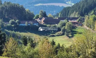 Einzigartiger Bauernhof mit 15,2 ha in Alleinlage – Paradies für Visionäre, Familien & Gemeinschaftsprojekte