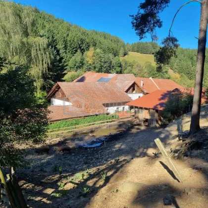 Mühlviertler Hof mit 15,2 ha in Alleinlage – Paradies für Visionäre, Familien & Gemeinschaftsprojekte - Bild 2