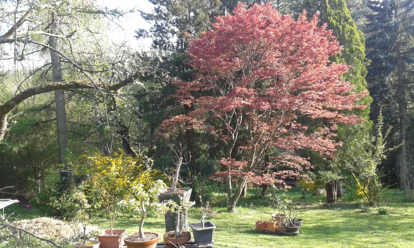 Sonnige Liegenschaft mit Altbestand - Bild 1
