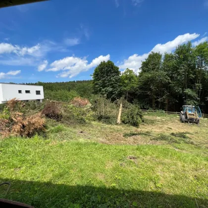 Traumhaftes Baugrundstück in Buchkirchen – 1.340 m² für Ihr Eigenheim oder als Bauträgerprojekt! - Bild 3