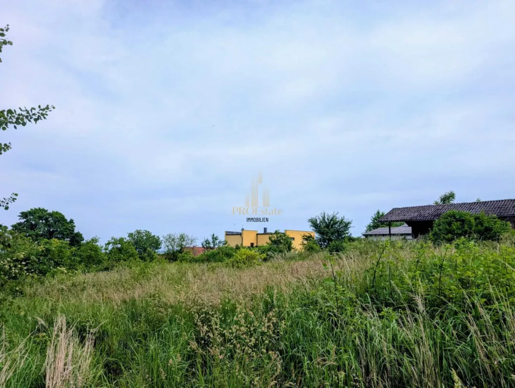 Traumhaftes Baugrundstück in Buchkirchen – 1.340 m² für Ihr Eigenheim oder als Bauträgerprojekt! - Bild 1