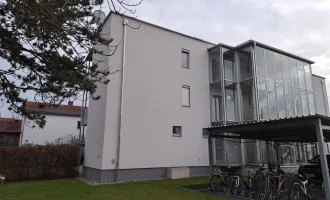 Herrgottwiesgasse 241 Top 3: Gemütliche 2-Zimmer-Erdgeschosswohnung mit Terrasse in Puntigam