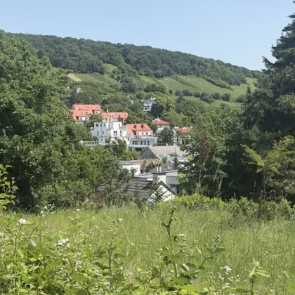 Pacht-Baugrundstück in 1190 Wien - Bild 3
