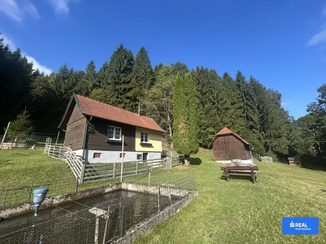 Rückzugsort am Waldrand mit großem Grundstück und Nebengebäude! - Bild 1