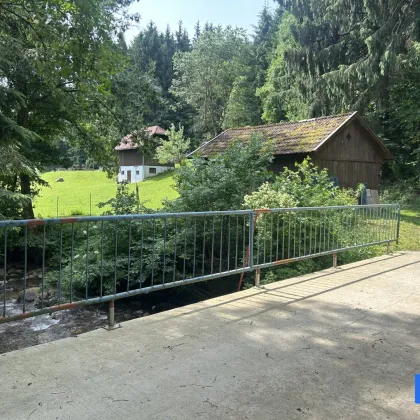 Rückzugsort am Waldrand mit großem Grundstück und Nebengebäude! - Bild 3