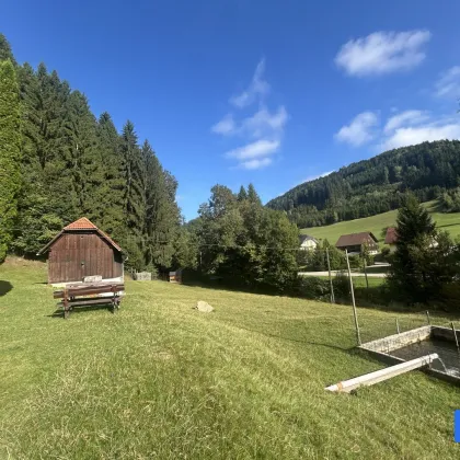 Rückzugsort am Waldrand mit großem Grundstück und Nebengebäude! - Bild 2