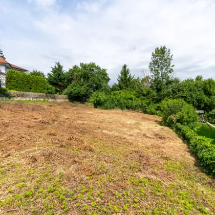 Zum Bestpreis: unbebautes Baugrundstück mit traumhaftem Fernblick in Klosterneuburg - Bild 2