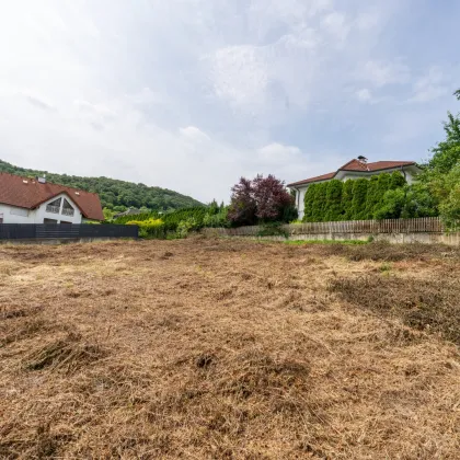 Zum Bestpreis: unbebautes Baugrundstück mit traumhaftem Fernblick in Klosterneuburg - Bild 3