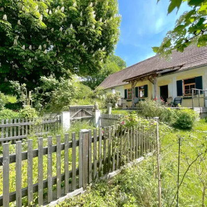 Traumhaftes Anwesen in herrlicher Aussichtslage – Ehemaliger Meierhof von 1901 gelangt zum Verkauf! - Bild 2