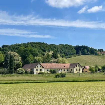 Traumhaftes Anwesen in herrlicher Aussichtslage – Ehemaliger Meierhof von 1901 gelangt zum Verkauf! - Bild 3