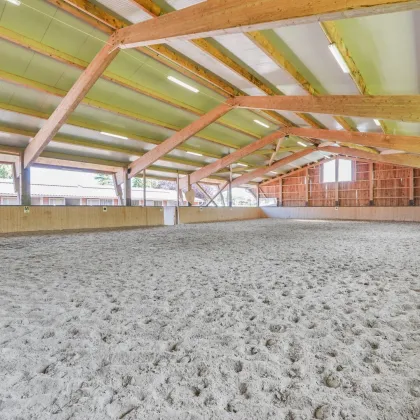 *Exklusive Reitanlage inkl. modernem Wohnhaus* – Idyllisches Paradies im Mostviertel - Bild 3