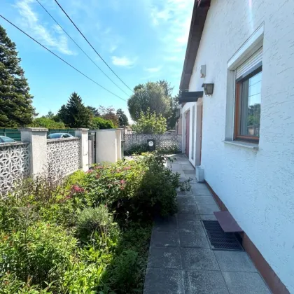 Grundstück mit 507m² in ruhiger Wohnlage mit Wohnhaus - Bild 3