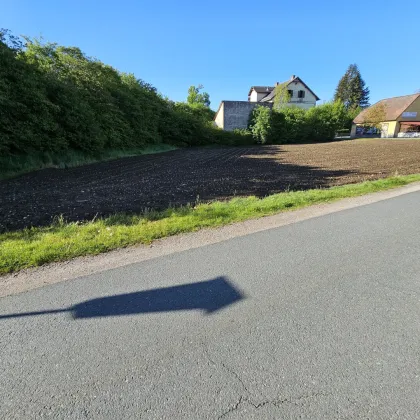 Erstklassiger Bauträgergrund mit durchdachter Planstudie in bester Lage – optimale Voraussetzungen für Ihr Bauprojekt. - Bild 3