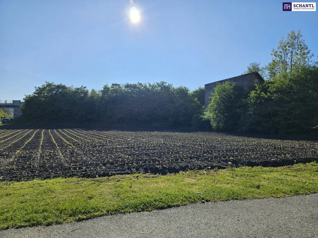 Erstklassiger Bauträgergrund mit durchdachter Planstudie in bester Lage – optimale Voraussetzungen für Ihr Bauprojekt. - Bild 1