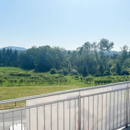 TRAUMHAFTES DOPPELHAUS mitten in den IDYLLISCHEN Weinbergen - mit DOPPELGARAGE, GARTEN, TERRASSE & DACHTERRASSE! - Bild 3