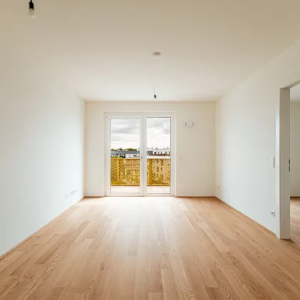 Alles was man sich wünscht – kostengünstige Heizung/“Kühlung“ über Erdwärme, PV-Anlage, weitläufige Grünflächen - Bild 3