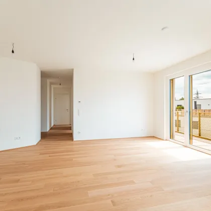 Wald – Wiese – Bach - Ihre Wohnoase zum Entspannen mit toller Infrastruktur - Bild 2