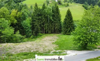 Traumhaftes Baugrundstück in Traunkirchen: 1518 m² für Ihr Eigenheim!