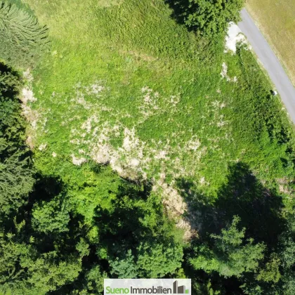 Ruhe genießen, See erleben: Wohnen in Traunkirchen bei Gmunden - Absolute Ruhelage – ca. 8 Minuten zum See! - Bild 3