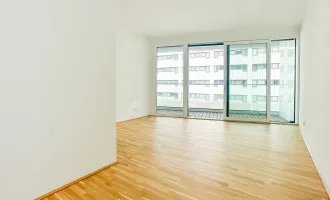 Nähe U1 Station Kaisermühlen - Singlewohnung mit optisch abgetrenntem Schlafbereich - Neubau