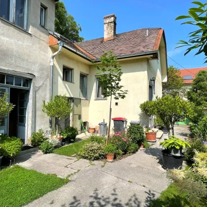 Haus mit Innenhof - Leesdorf - Bild 2