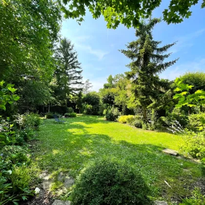 Sanierungsobjekt Baden - Leesdorf - Bild 2