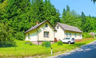!!! RESERVIERT !!! Renovierungsbedürftige Landhäuser viel Grund - Gesamtfläche 4032 m² !!! Renovierung und Schönheitsreparaturen sind erforderlich, dennoch sofort beziehbar.