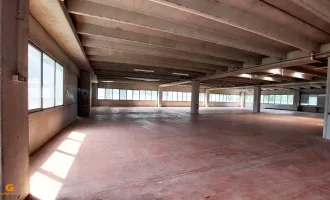 Top Gewerbestandort in Salzburg, Flexible Büroflächen & Lagerhalle