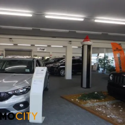 Attraktives Autohaus mit großem Schauraum und Stellflächen – ca. 910 m², Baden - Bild 2