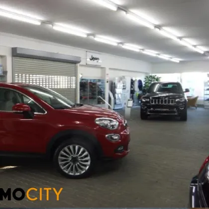 Attraktives Autohaus mit großem Schauraum und Stellflächen – ca. 910 m², Baden - Bild 3
