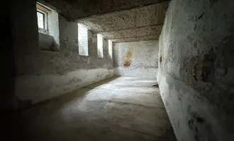 Seltene Gelegenheit: Sehr hohes, geräumiges Kellermagazin mit Tageslicht und Fenstern zum Hof, Wasser- und Stromanschluss und WC