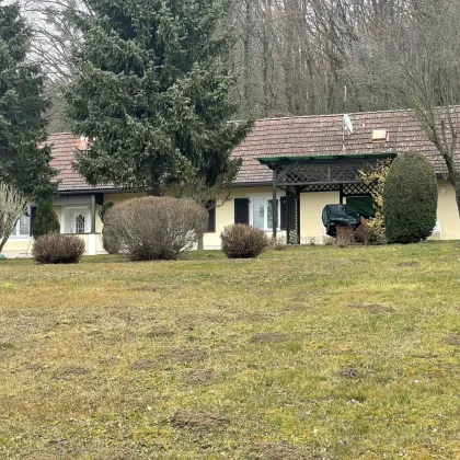 Bad Gleichenberg - Idyllisches Haus mit 3 Zimmern, einer Wohnküche und großem, schönen  Garten ! - Bild 3