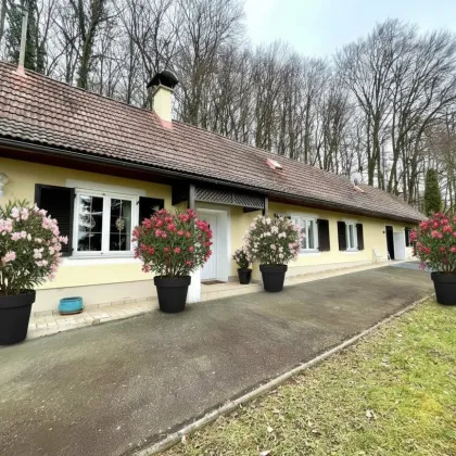 Bad Gleichenberg - Idyllisches Haus mit 3 Zimmern, einer Wohnküche und großem, schönen  Garten ! - Bild 2
