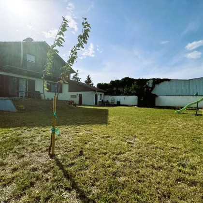 Einfamilienhaus in Wiener Neustadt – Naturidylle und Stadtkomfort vereint - Bild 2