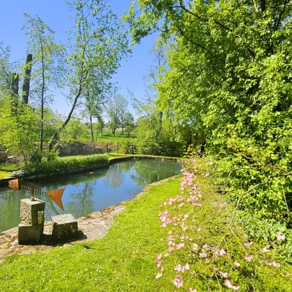 Naturparadies mit Fischteich - Bild 2