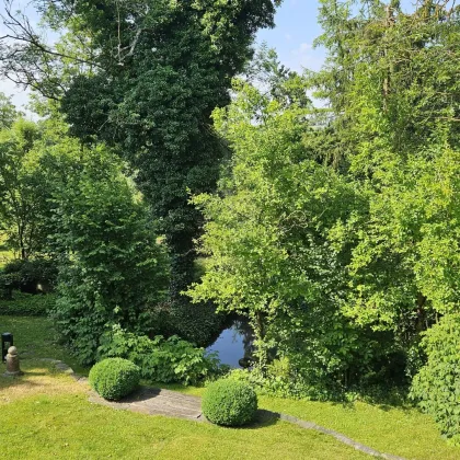 Naturparadies mit Fischteich - Bild 3