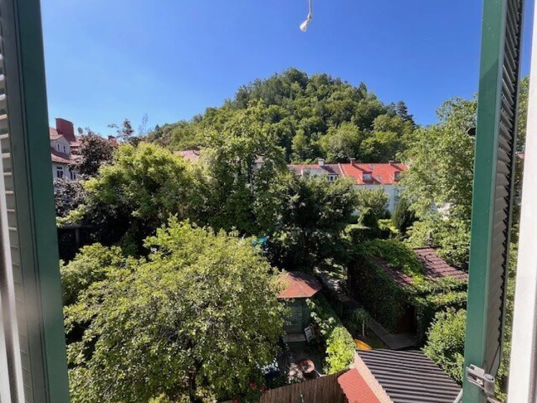 GEIDORF: HELLE 2 ZIMMER ALTBAUWOHNUNG MIT SCHLOSSBERGBLICK IN UNI-NÄHE - Bild 1