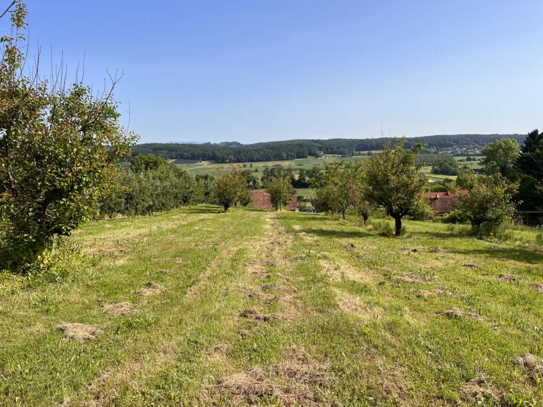 Landwirtschaftliche Fläche mit Obstbaukulturen ca. 1,2 ha zu verkaufen. - Bild 1