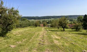 Landwirtschaftliche Fläche mit Obstbaukulturen ca. 1,2 ha zu verkaufen.