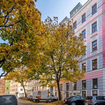 sanierungsbedürftiges Geschäftslokal im Souterrain – 72 m² Nutzfläche im Altbau mit straßenseitigem Zugang - Bild 2
